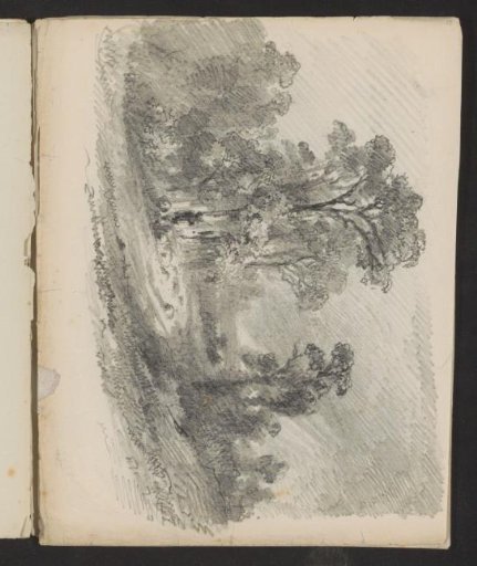 Path in a landscape with trees