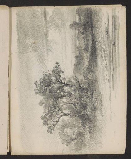 Landscape with trees
