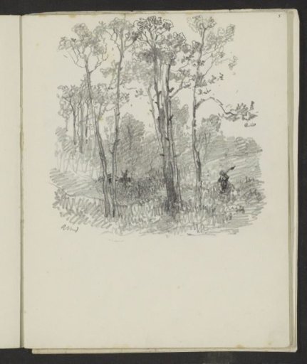 Landscape with Trees and a Figure