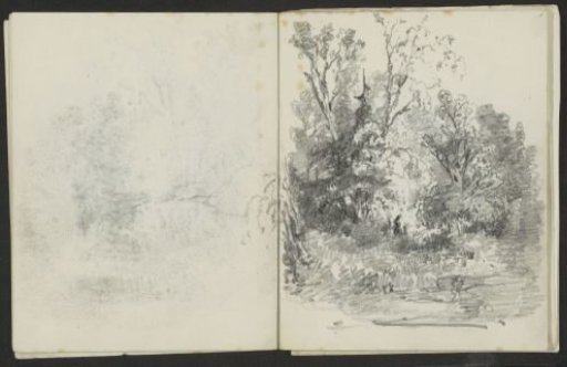 Woods