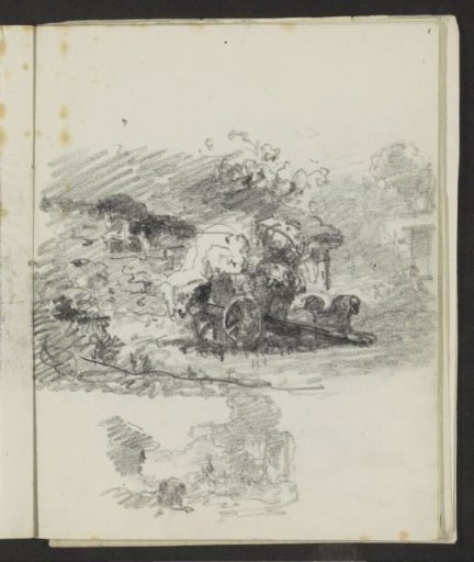 Cart in a Tree-Lined Setting