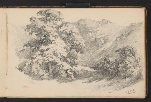 Mountain landscape with trees