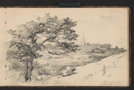Landscape in the vicinity of Bennebroek