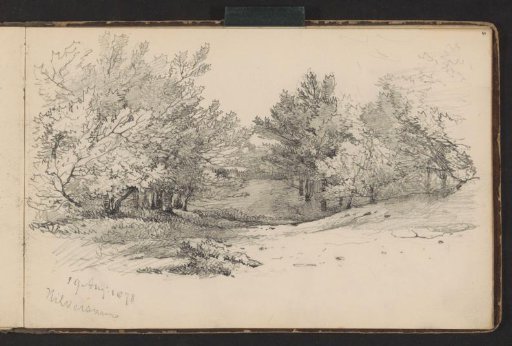 Landscape with Trees near Hilversum