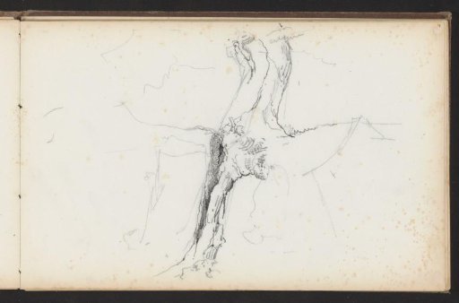 Tree stump