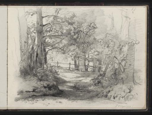 Forest path on the Hoog Oorsprong estate