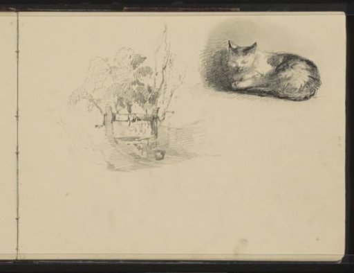 Lying cat and a tree next to a fence