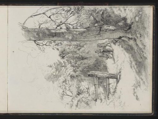 Girl with a grazing cow on the Hoog Oorsprong estate