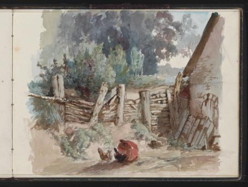 Free-range chickens in a courtyard