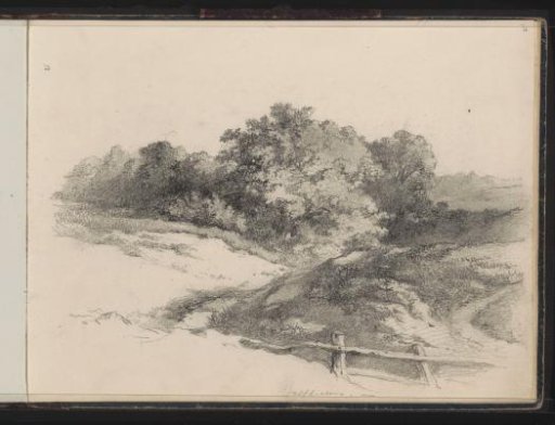 Landscape near Wolfheze
