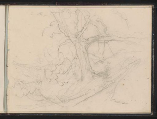 Trees