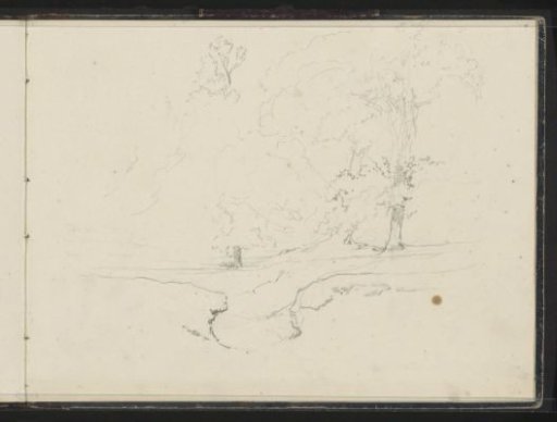 Landscape with Trees