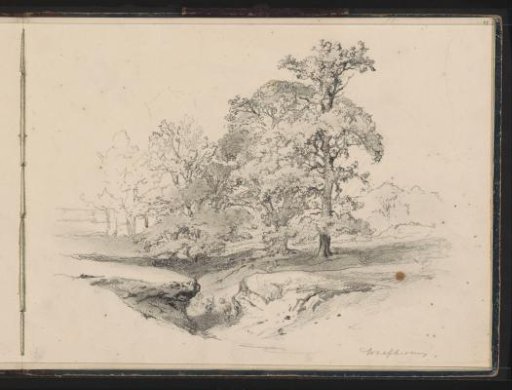 Landscape at Wolfheze with Trees by a Ditch