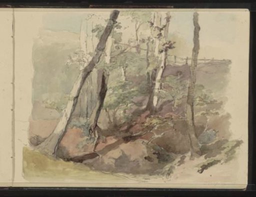 Trees bounded by a fence on the Hoog Oorsprong estate