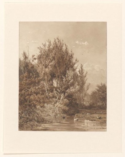 Landscape with water and ducks