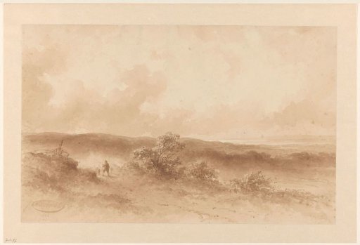 Dune landscape