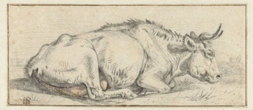 Lying cow