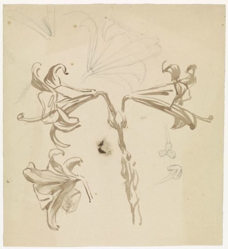 Study sheet with lilies