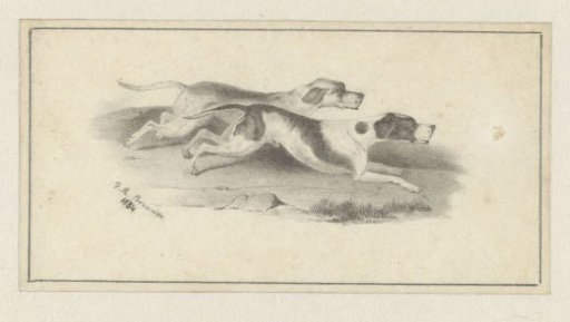 Two running hunting dogs