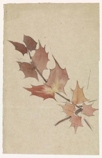 Sprig of holly