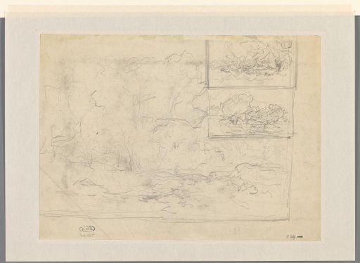 Three sketches of forest landscapes
