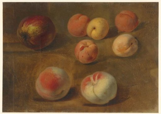 Still life with apple, peaches and apricots