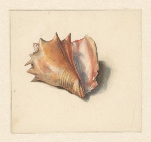 Study of a shell