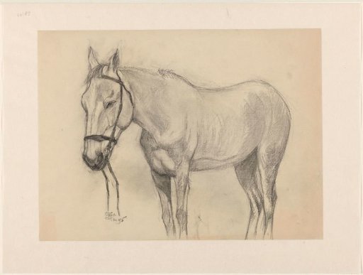 Standing horse, facing left