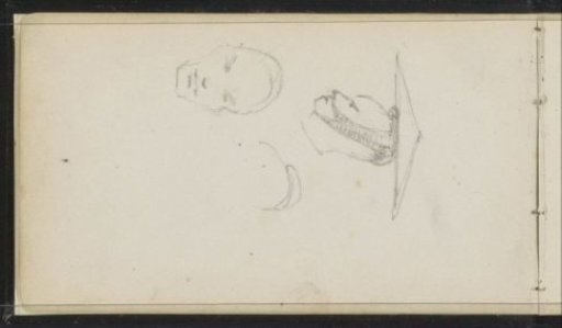 Studies of a Male Head