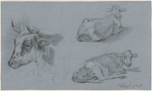 Studies of cows