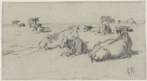 Lying cows in a meadow