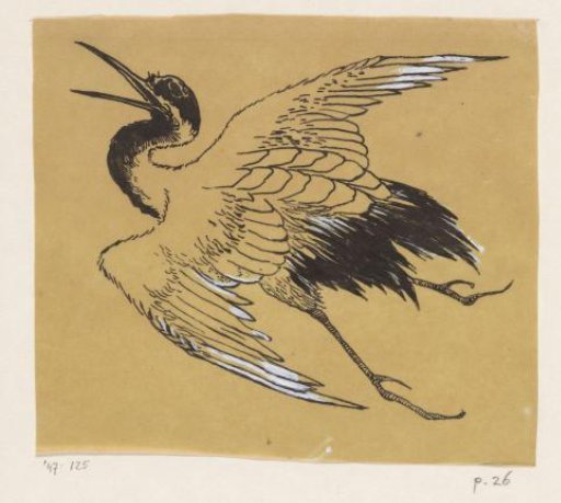 Stork