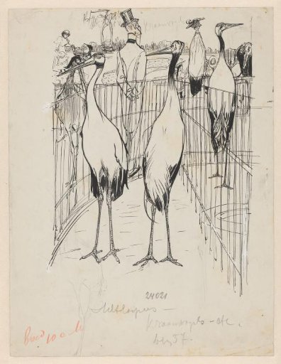 Cranes in an Enclosure