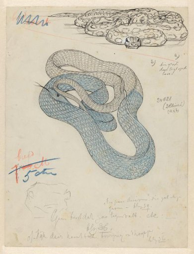 Two Snakes and a Snake's Head