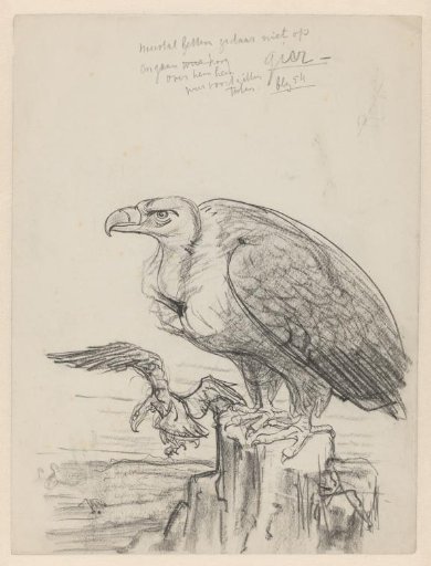 Two Vultures