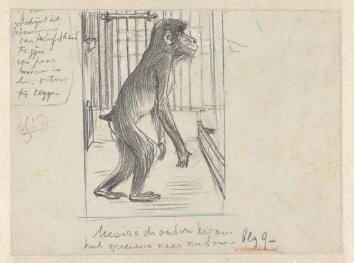 Chimpanzee in a Cage in a Menagerie
