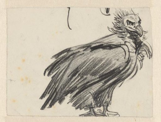 Vulture