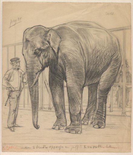 Elephant in its stable with keeper