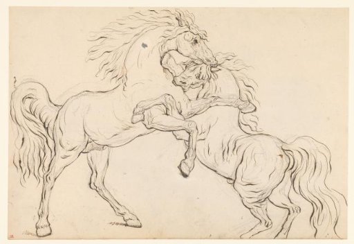 Two Fighting Stallions
