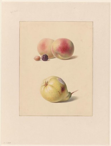 Peach, blackberry and hazelnut and a pear