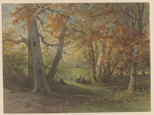 Forest View near Oosterbeek
