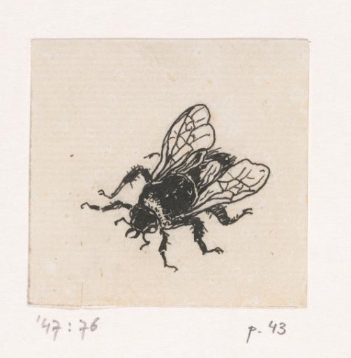 Bee