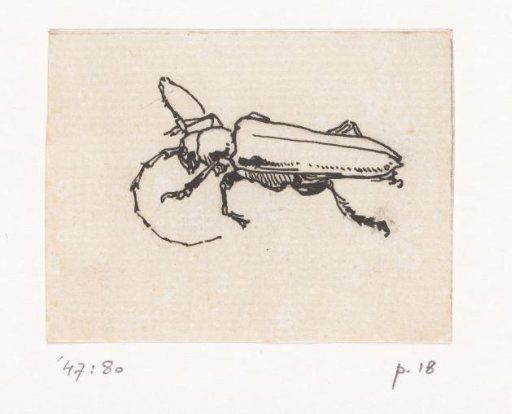 Beetle