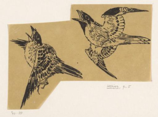 Larks