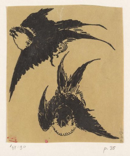 Swallows