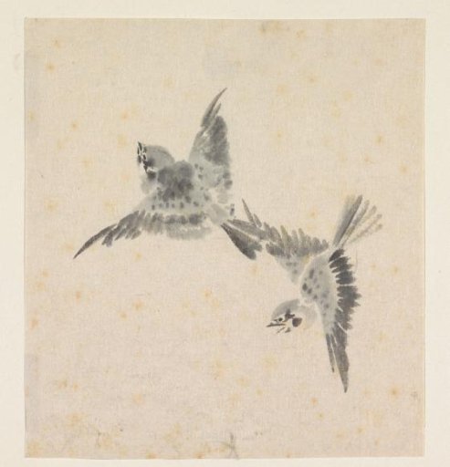 Two flying little birds