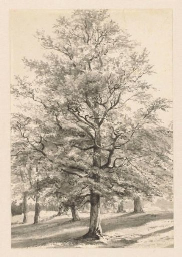 Landscape with trees