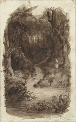 Man in Tropical Forest, Standing by Water