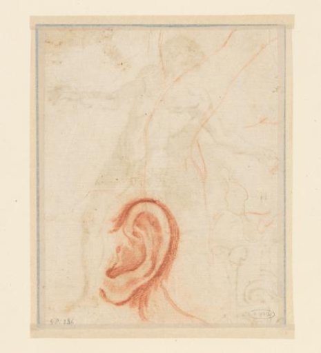 Study sheet with an ear and an arm