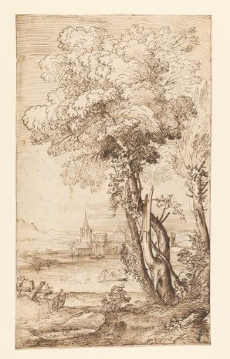 Group of Trees by a Lake in a Mountainous Landscape